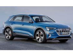 Audi e-tron / Q8 e-tron (2019 - Present)