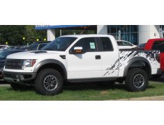 Ford F-Series / Lobo / F-150 (2009 - 2014)