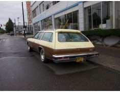 Oldsmobile Vista Cruiser (1973 - 1977)